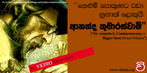 Ananda Coomaraswami Banner 300